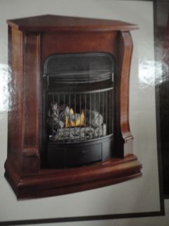 Style Selections indoor Fireplace 0328247 Texas Straight Wall or
