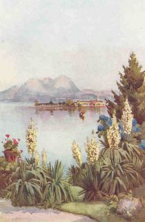 Italy 1912 Lake Maggiore Isola Pescatori Old Vintage Print Italia