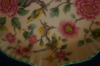 James Kent Old Foley Tray Chinese Rose with Birds