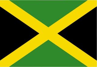 Jamaica Flag Fridge Magnet