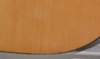 The Jasmine by Takamine JS441 Nylon String Full Size Acoustic Guitar