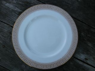  Fine Ivory China Plate with A Gold Brown Patterned Border