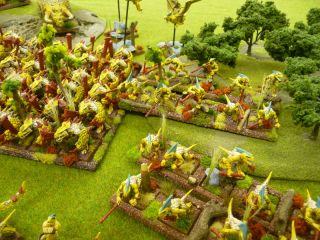 Warhammer Unique Lizardmen Army Well Pro Painted