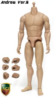ACI Toys   Gladiator Rome Muscular Muscle Body Andrew Ver 0 Rock