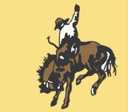Cowboys Choice Ultra Pad Western Saddle Pad Used