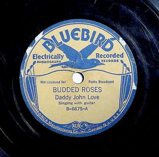 78 Country Daddy John Love Bluebird 5675