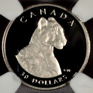 1992 Canada 1 10 oz Platinum Endangered Wildlife Cougar $30 NGC PF70 UC SKU27388  