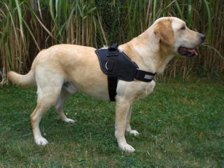 Julius K9 IDC Power Harness with Siderings 2 Colors