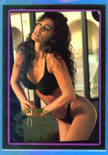 1993 Beach Warmer Series ll Promo Card 2 Julie Strain