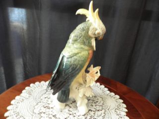  Parrot Cockatoo Porcelain Figurine Bird Karl Ens Volkstedt Germany