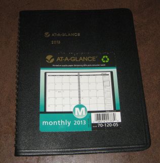 At A Glance Monthly Appointment Book 2013 AAG7012005