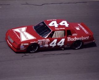 NASCAR Decal 44 Budweiser 1983 Red Chevy Terry Labonte