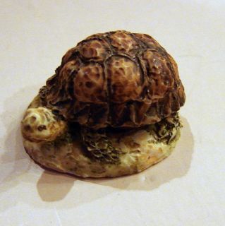 Peter Fagan Hardshell Gopher Land Turtle from Miniatures Collection
