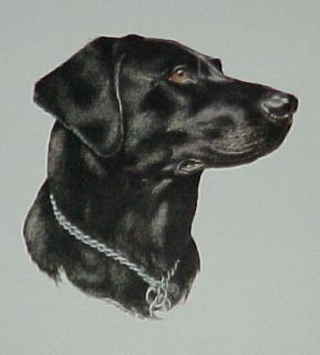 Collectible~ BLACK LAB LABRADOR RETRIEVER Dog ~Breed Print 1984 by