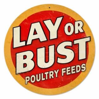 Lay or Bust Vintage Metal Sign Poultry Feed Farm