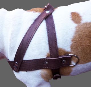 Pulling Real Leather Dog Harness 1 5 Wide Brown 31 35 Size Pitbull