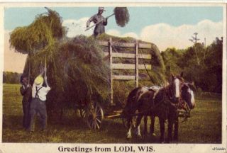 Greetings from Lodi Wi Pitching Hay onto Horse Drawn Wagon 1921