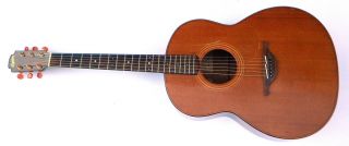LOWDEN S27F DREADNOUGHT PLAYERS GUITAR  99 CENT START 14 DAY