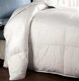Luxury Hotel 300TC Down Alternative Comforter in Full Queen