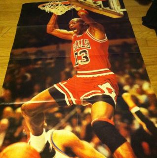 Nike Air Michael Jordan Poster Chicago Bulls SB