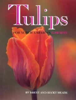 Tulips For North American Gardens by Becky Heath, Rebecca Heath and