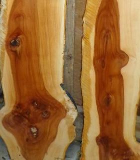 RARE AD Figured Lot 6 pcs Natural Live Edge Apple Slabs Craft Wood