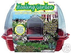 Healing Herb Indoor Window Terrarium Garden FAST SHIP