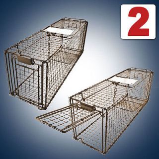 Live Animal Trap Skunk Racoon Cat 31x9x11 Cage Rabbit Box