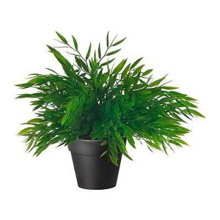 IKEA artificial potted plant bamboo 11x4 green lifelike nature herb