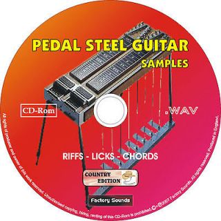 PEDAL STEEL GUITAR Samples Loops WAV Country Sample CD LoopsRiffsC