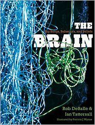 The Brain  Big Bangs, Behaviors, and Beliefs by Rob DeSalle, Ian