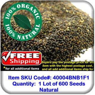 Tulsi Rama Holy Basil Ocimum Sanctum Pure Natural Dried Organic Herb