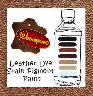 Stain Pigment Paint   Car & Furniture Kit 15 ml Colour Coat Polish