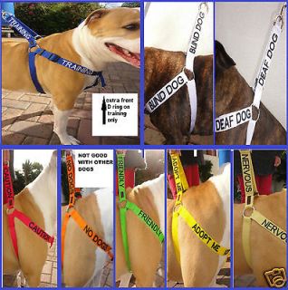 leather & chain staff bull terrier medium / large dog harness ( sign
