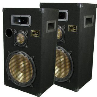 Deluxe Pro Audio Stage Floor Speakers New 12 Inch Pair PPB12