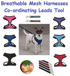 dog harness for large dogs
