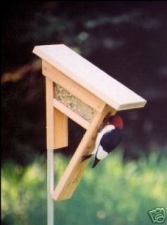 Clinger Woodpecker Bird Feeder & Squirrel Proof Pole