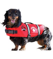 Paws Aboard Red Neoprene Dog Life Vests Safety Jackets