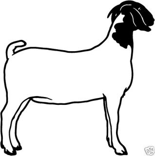 Boer Goat #4 Decals Farm Animal Window Stickers 6