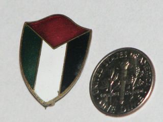 Old Palestine Flag Shield Enamel lapel pinback pin badge