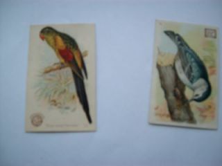 Baking Soda Collectible Birds Trading Cards   Very Old