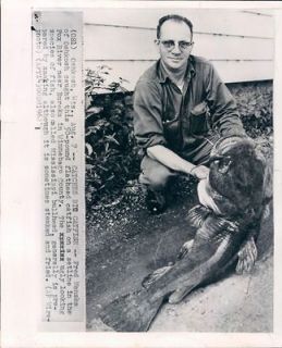 1962 50 lb Flathead Catfish Caught in Fox River Eureka Wisconsin Wire