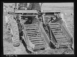 part of a double row potato digger used on a farm near Caribou,Maine