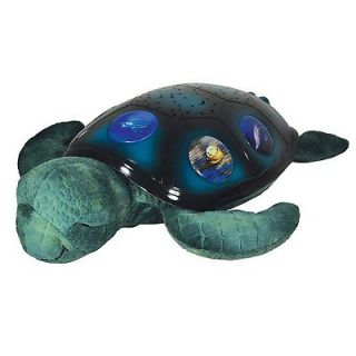 Cloud b Twilight Constellation Night Light Sea Turtle Night sky