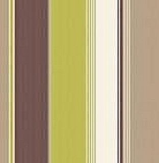 FEATHERS CHOCOLATE COFFEE & LIME STRIPE FEATURE WALLPAPER 30295 BY