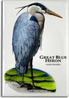 Great Blue Heron Art Collectible Refrigerator Magnet