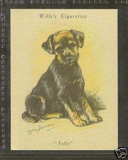 1940 Reissue LUCY DAWSON Dog Art Wills UK Cigarette Card WELSH TERRIER