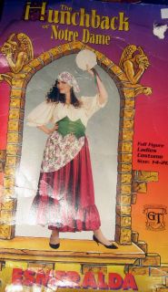 disney esmeralda costume