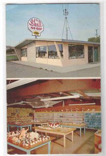 The Shell Shop Morro Bay California postcard