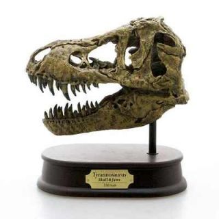 New Tyrannosaurus Skull 1/10 King of dinosaur LTD Japan